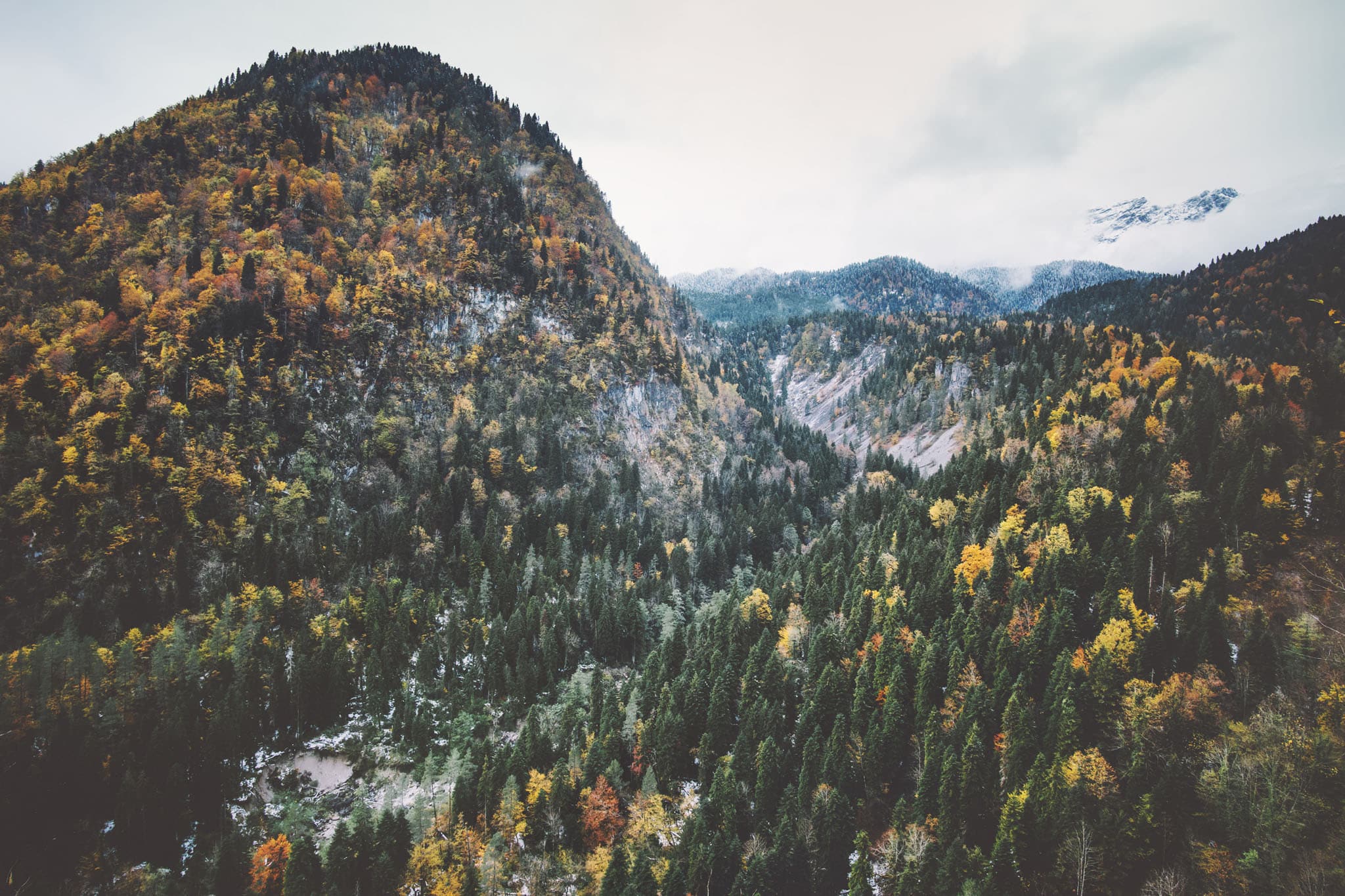 At have et misbrug betyder, at en person er afhængig af eller misbruger en substans